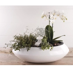 Ogródek z wiatrakiem